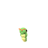 Raupy