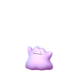 Ditto