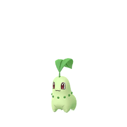 Endivie