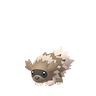 Zigzachs