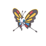 Papinella
