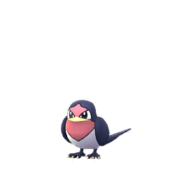 Schwalbini
