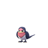 Schwalbini