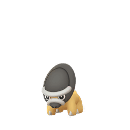 Schilterus