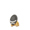 Schilterus