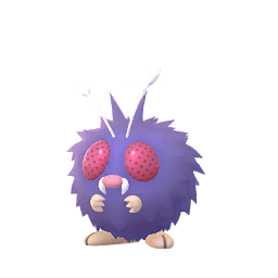 Bluzuk