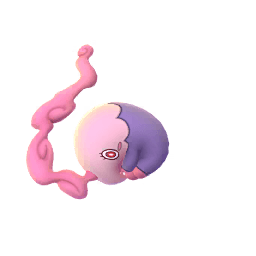 Somnivora