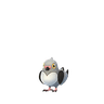 Dusselgurr