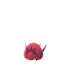 Toxiped