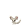 Picochilla