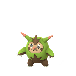 Igastarnish