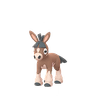 Pampuli