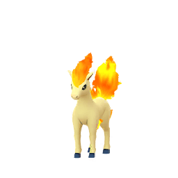 Ponita