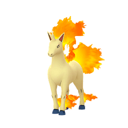 Gallopa