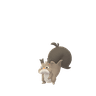 Raffel