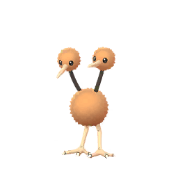 Dodu